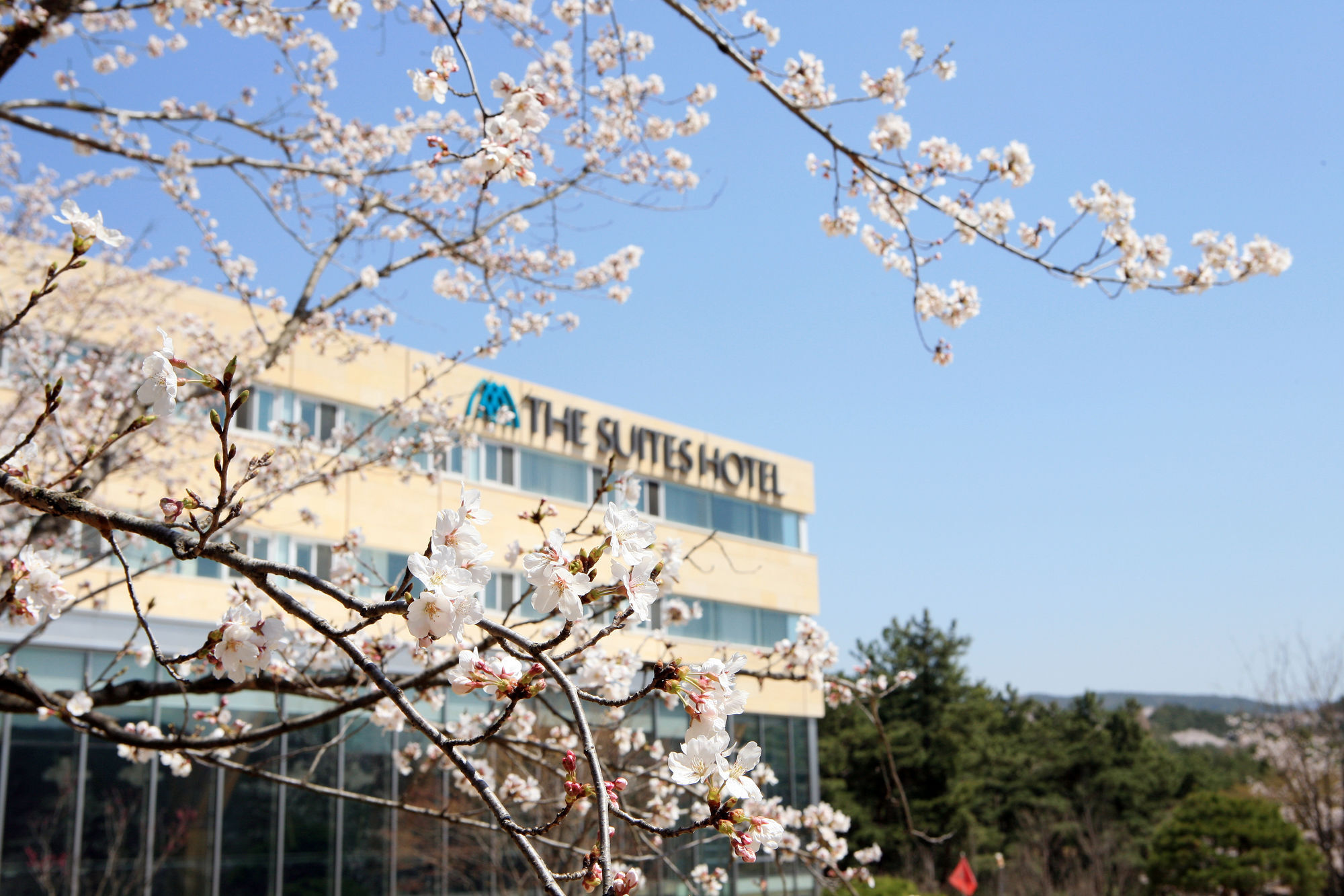 The Suites Hotel Gyeongju Exterior foto